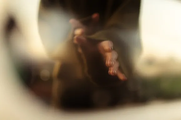 Casino Royal Slots Ënnerstëtzung